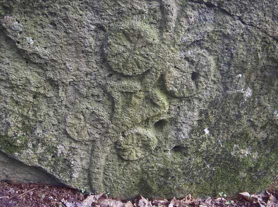 Teolo (Pd), Rocca Pendice, Stemma dei Carraresi.